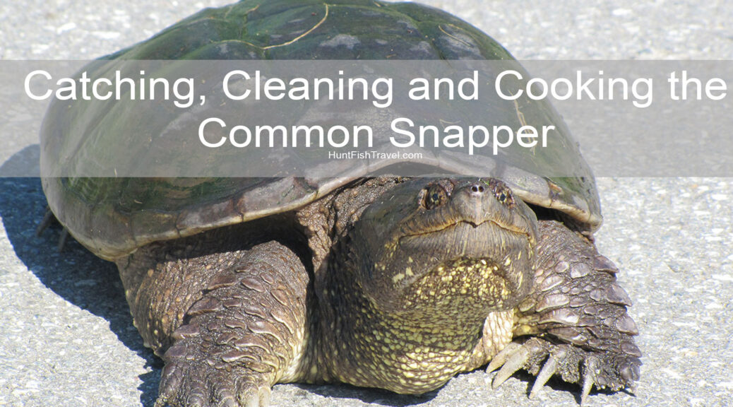Catching, Cleaning and Cooking the Common Snapper with recipe