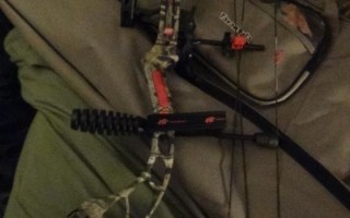 What Do You REALLY Need To Start Bowhunting