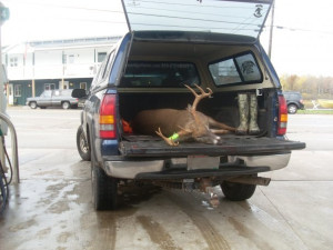 A hunter took this nice buck off public land.