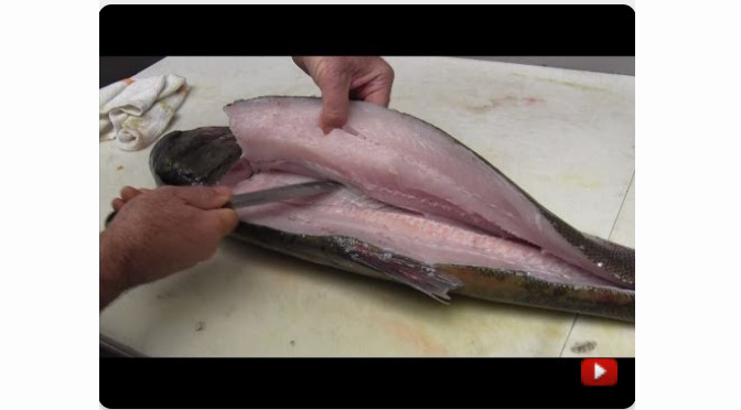 Video: How to Cook Asian Carp