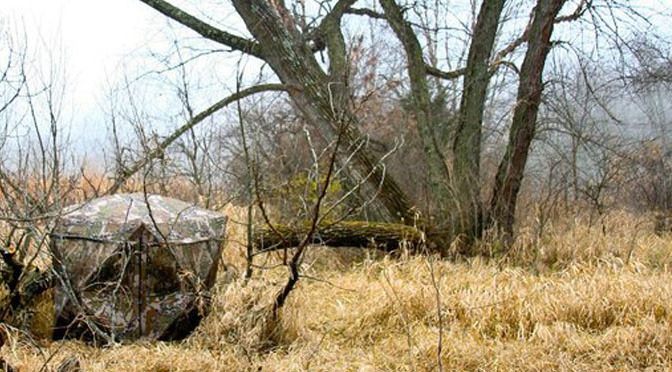 4 Crucial Tips for Hunting from a Ground Blind