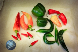 Paleo Garlic and Mixed Peppers Hot Sauce Recipe