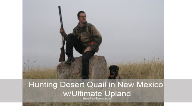 Hunting Desert Quail in New Mexico W/Ultimate Upland