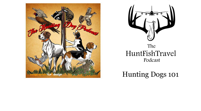 #HuntFishTravel 178 – Hunting Dogs 101 with Ron Boehme of the Hunting Dog Podcast
