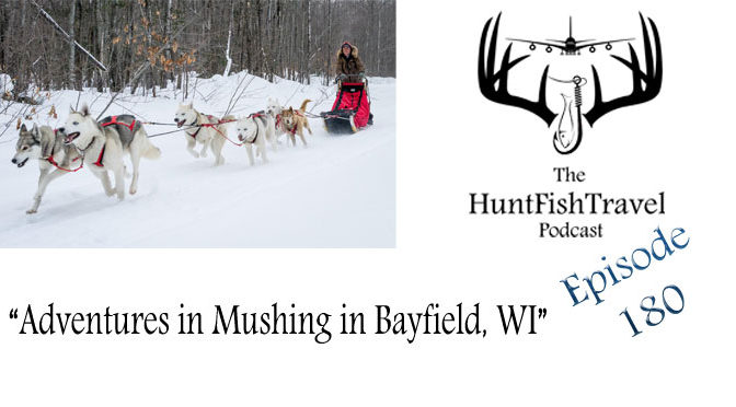 #HuntFishTravel 180 – Drive Your Own Dog Sled with Wolfsong Adventures in Mushing in Bayfield, Wisconsin