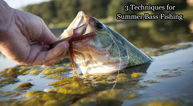 3 Techniques for Summer Bass Fishing