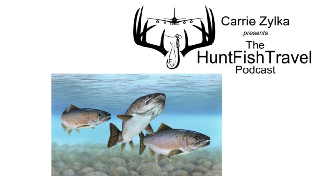 #HuntFishTravel Ep 198 – Salmon Facts and Your Dollars at Work in Wisconsin with Cory Yarmuth Pt 2
