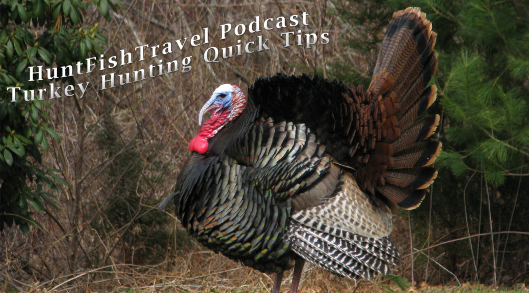 HuntFishTravel Podcast 1-5 Minute Quick Turkey Hunting Tips