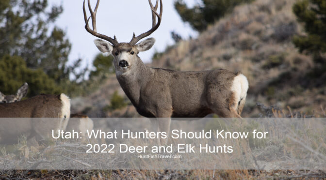 Utah: What Hunters Should Know for 2022 Deer and Elk Hunts