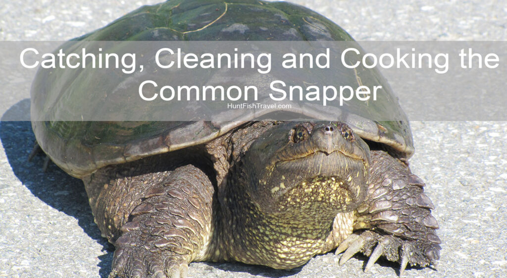 Catching, Cleaning and Cooking the Common Snapper with recipe