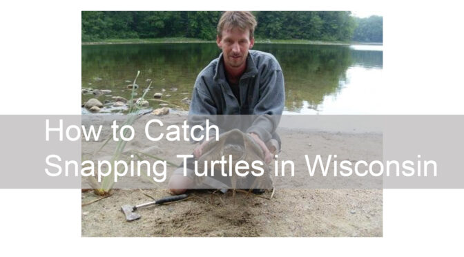 How to Catch Snapping Turtles in Wisconsin