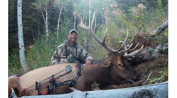 Success – 2013 Elk hunt