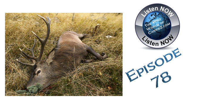 #HuntFishTravel  078 – Keeping Your Game Fresh after the Kill