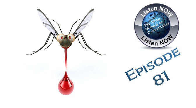 #HuntFishTravel 081 – Mosquito Repellents and the Hunter