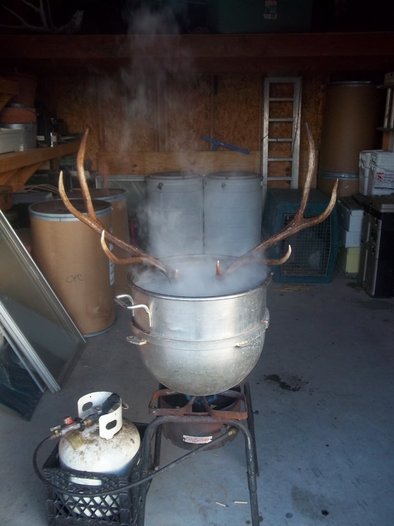 DIY European Mount