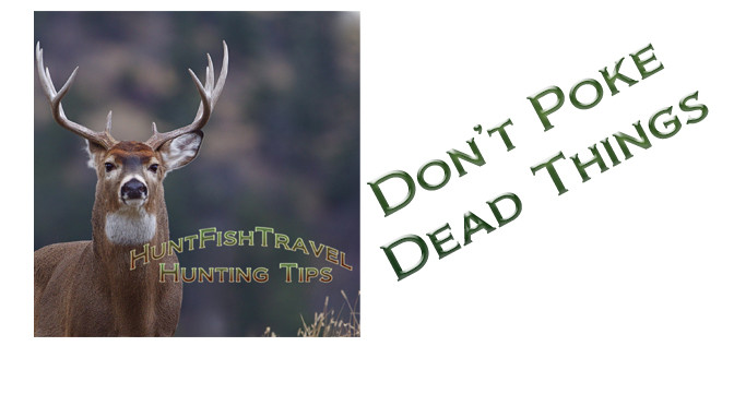 #HuntFishTravel Podcast Hunting Tip 002 – Don’t Poke Dead Things