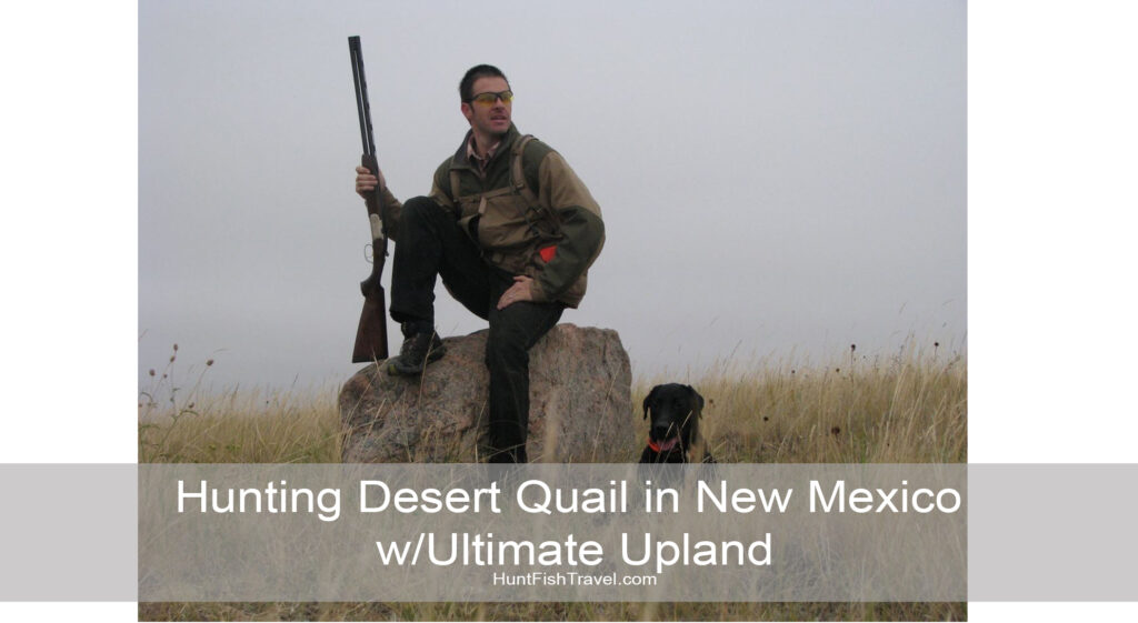 Hunting Desert Quail in New Mexico W/Ultimate Upland