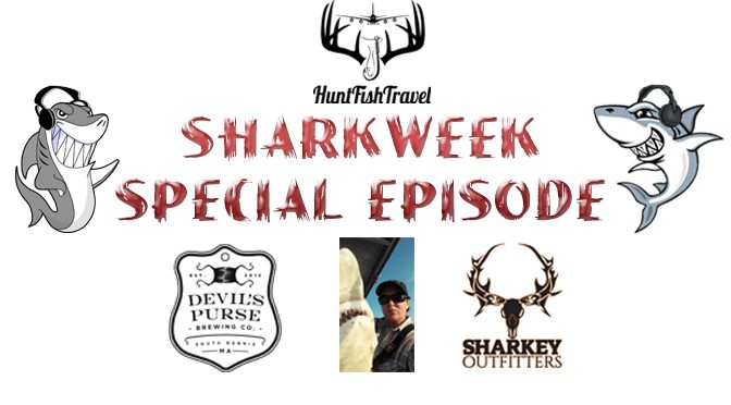 #SharkWeek 2016 – Cape Cod Breweries, Shark Fishing & Shark Podcasts