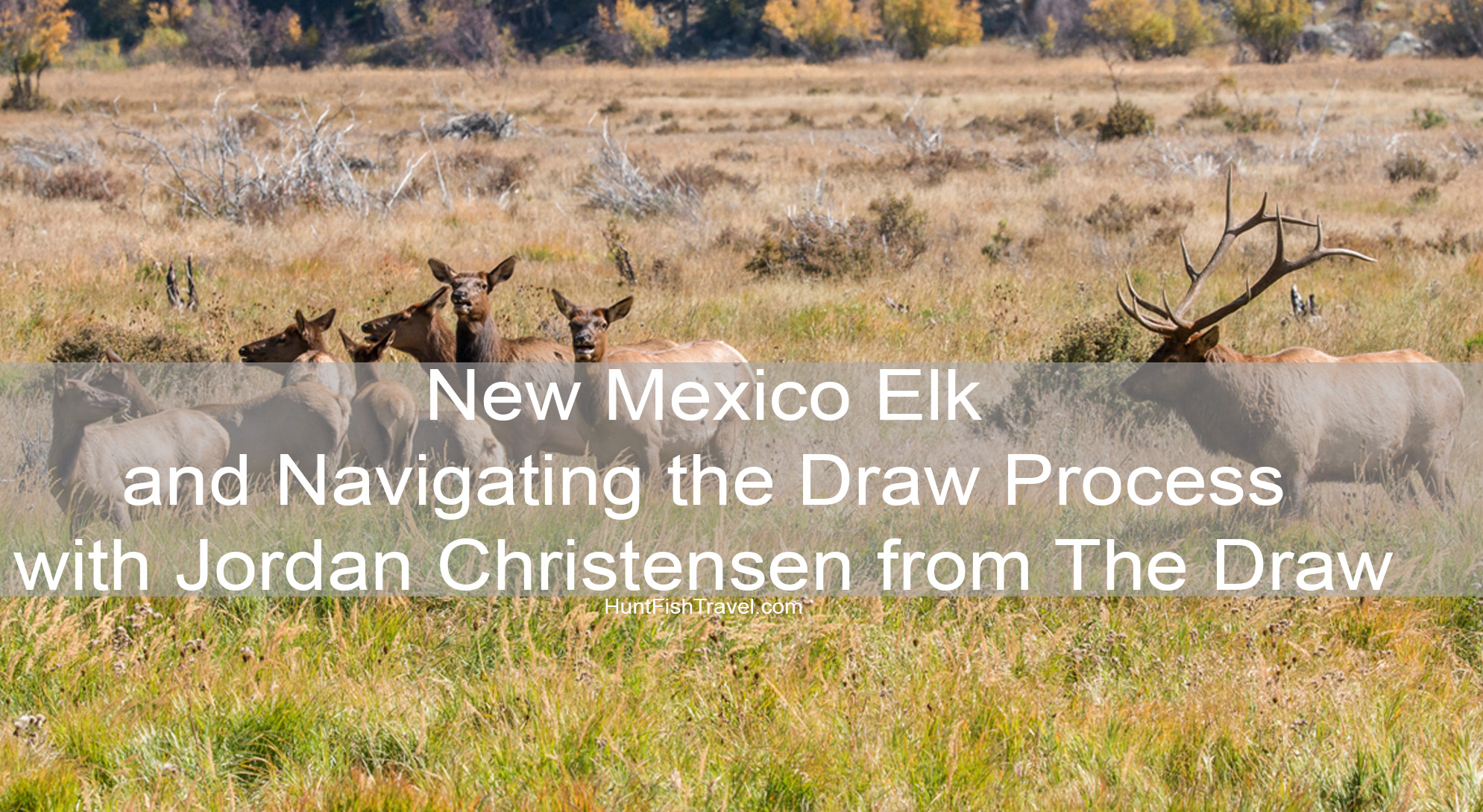 Hunt Fish Travel Podcast New Mexico Elk and Navigating the Draw Process with Jordan Christensen from The Draw