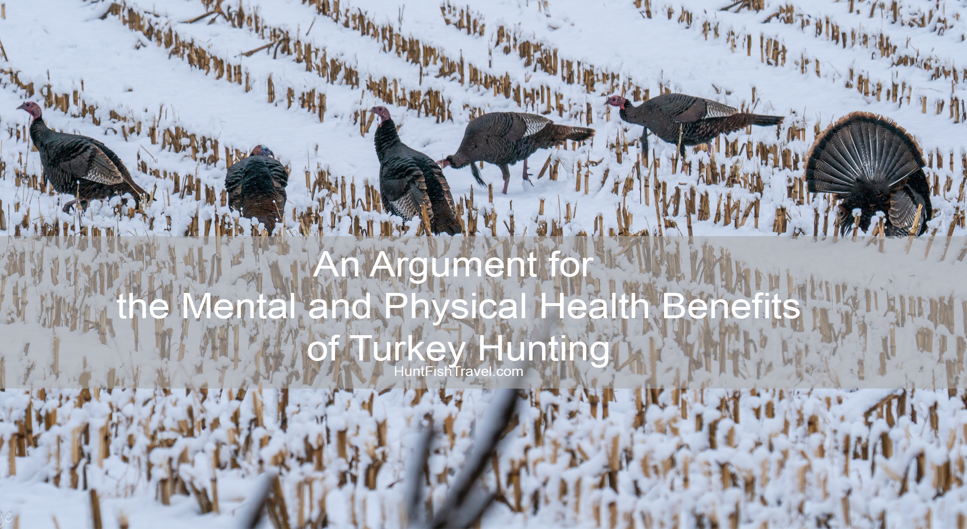 An Argument For The Mental And Physical Health Benefits Of Turkey Hunting