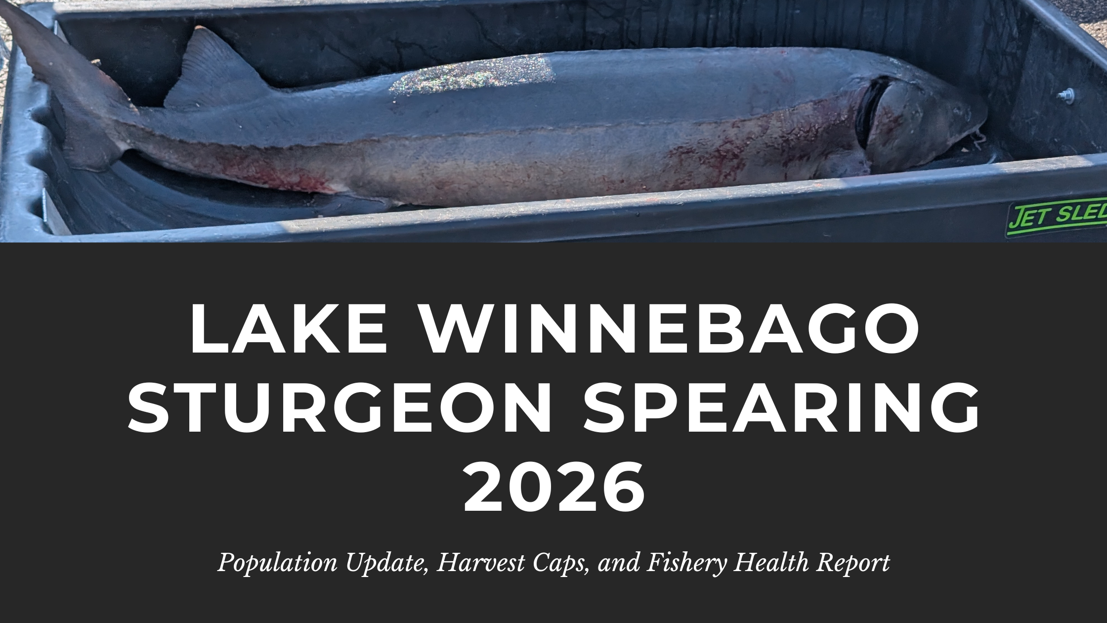 HuntFishTravel Podcast with Carrie Zylka Lake Winnebago Sturgeon Spearing 2026: Population Update, Harvest Caps, and Fishery Health Report